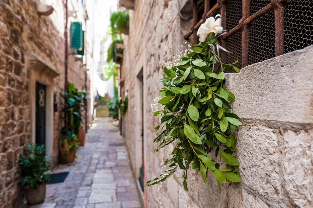 Angelus Apartments Dubrovnik Exterior photo